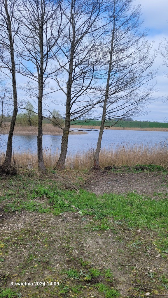 Działka Sprzedaż Zieleniewo 5