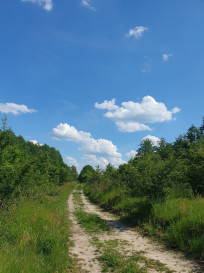 Działka Sprzedaż Zieleniewo