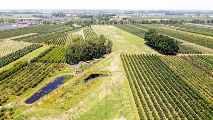 Działka Sprzedaż Wilcze Piętki 8