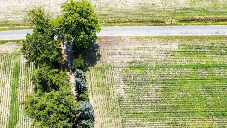 Działka Sprzedaż Wilcze Piętki 9