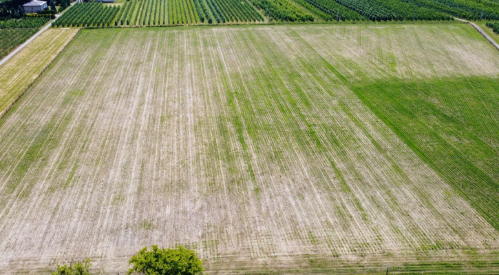 Działka Sprzedaż Wilcze Piętki 10