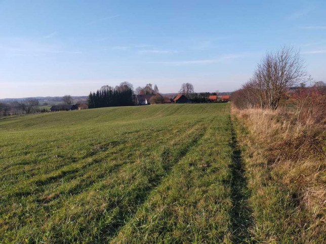 Działka Sprzedaż Wejdyki 20