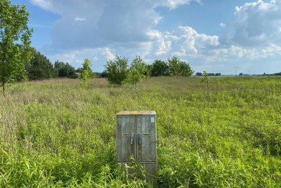 Działka Sprzedaż Wąsy-Kolonia