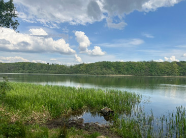 Działka Sprzedaż Stara Dobrzyca