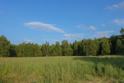 Działka Sprzedaż Grzepnica