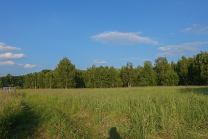 Działka Sprzedaż Grzepnica