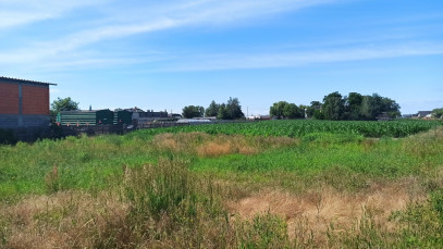 Działka Sprzedaż Konarzewo