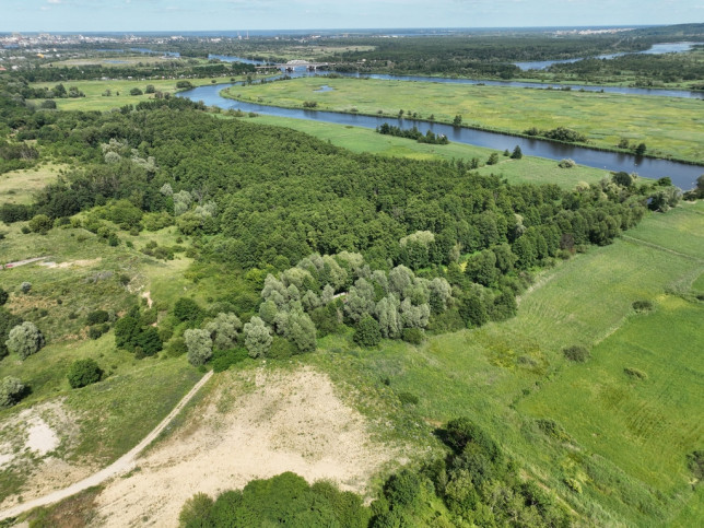 Działka Sprzedaż Kurów 3