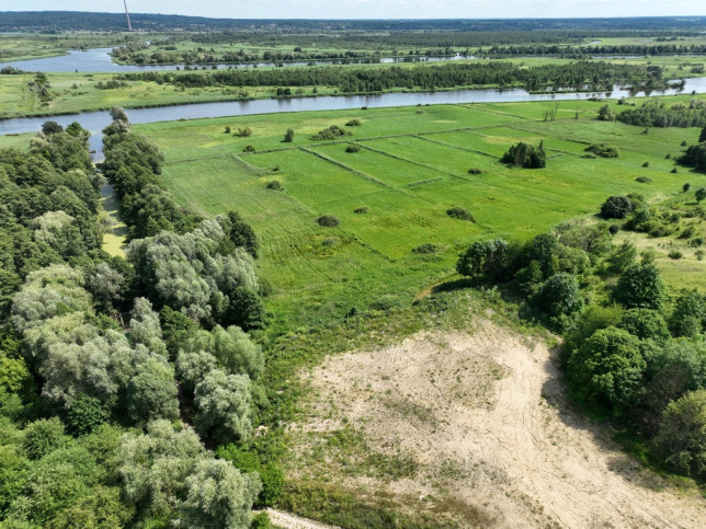 Działka Sprzedaż Kurów 3