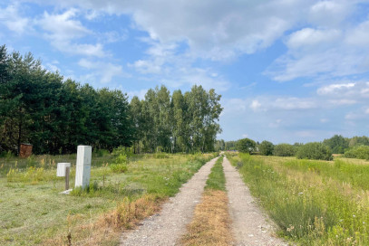 Działka Sprzedaż Bednary