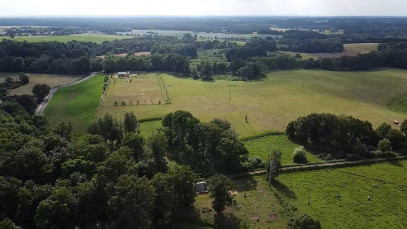 Działka Sprzedaż Łęgi Zachodnia