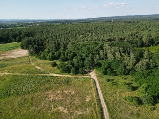 Działka Sprzedaż Daleszewo 2