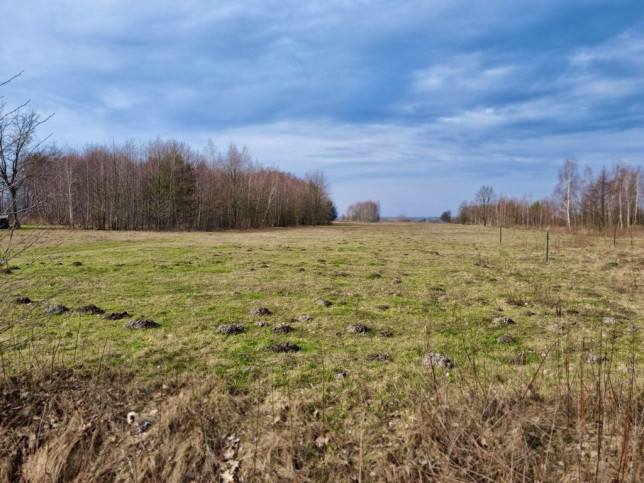 Działka Sprzedaż Nowe Wągrodno Główna 7