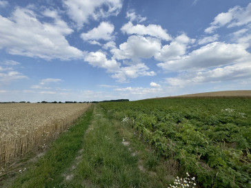 Działka Sprzedaż Bielice