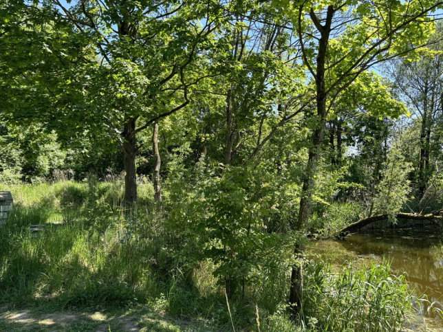 Działka Sprzedaż Szczecin Warszewo Kredowa 4