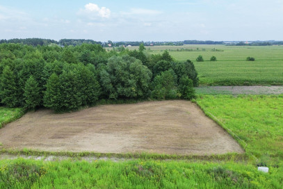 Działka Sprzedaż Kłudno Nowe